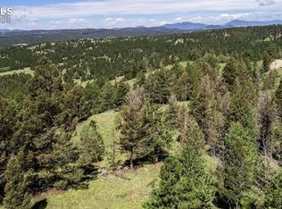 235 Hay Creek Rd, Florissant, CO 80816