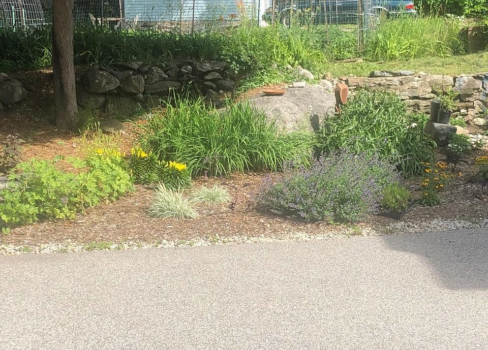 Entrance/Driveway garden.
