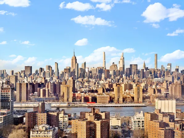 306 Gold Street image 15 of 16