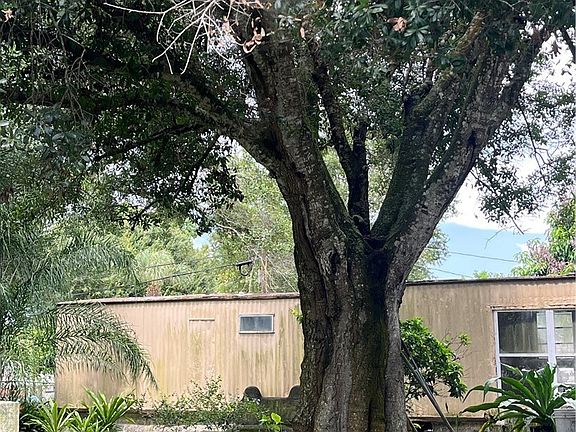 4th image of 1183 SW Pine Tree Trl