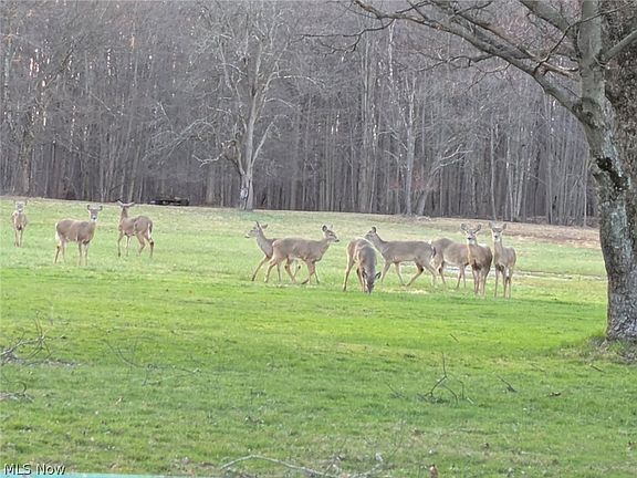 5th image of 1128 Hadcock Rd