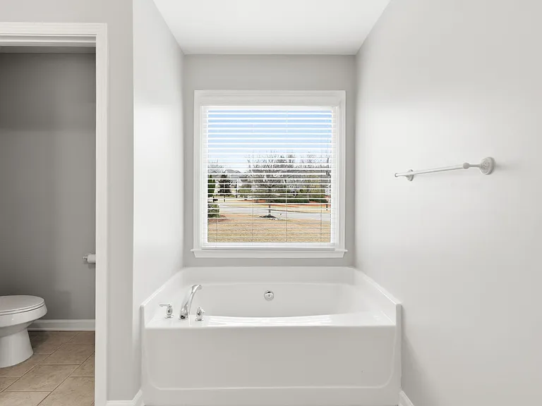Soaking tub in Owner's Bath
