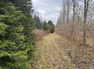 0 Remer Rd, East China, MI