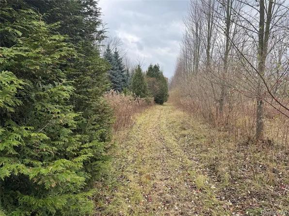 0 Remer Rd, East China, MI 48054