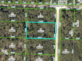 South, Webster, FL 33597