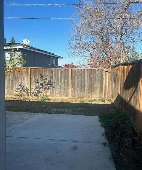 back yard
