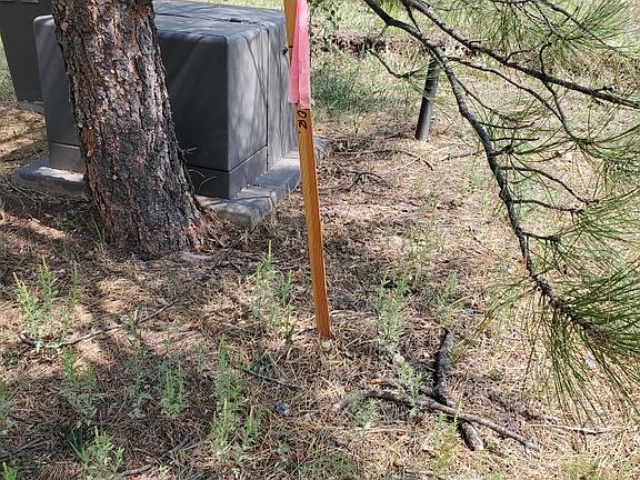 3rd image of 2347 Kayenta Ln Lot 0