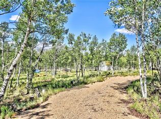 55 Bear Gulch Way, Jefferson, CO 80456