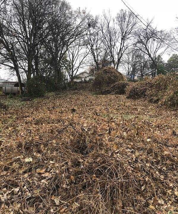 1st image of 1 Iola St