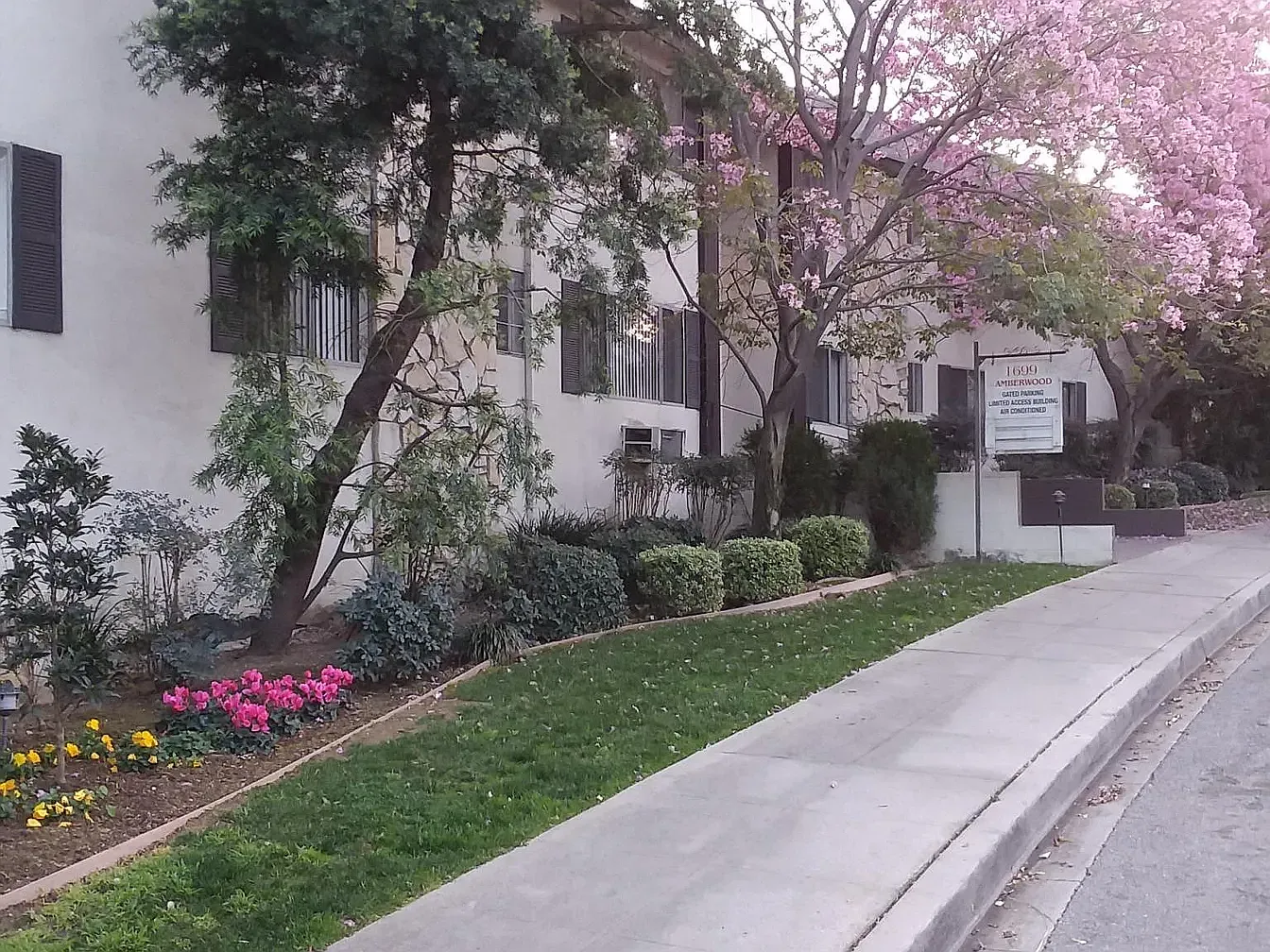 1699 Amberwood Apartments — Photo 2