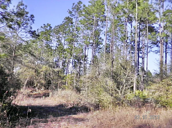 Porter Grade Rd, Altha, FL 32421