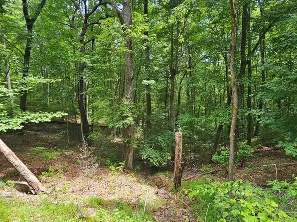 555 Oak Leaf Ln, Dunlap, TN 37327