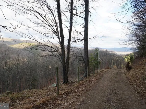 787 Peters Mountain Ln, Franklin, WV 26807