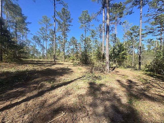 5th image of 0 Bull Slough Rd Lot 8