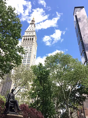 Rented by Town Residential | media 11