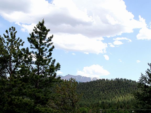View from living area