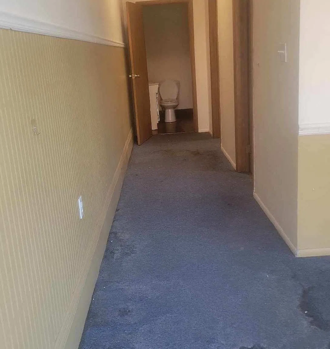 1 bed, $550 — Photo 4