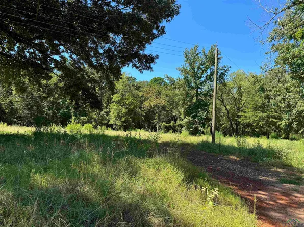 350 Pilgreen St, New London, TX 75684