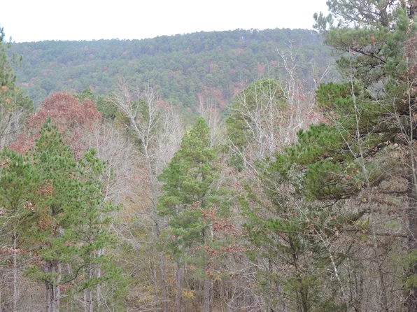 Address Off Cold Springs Rd #911, Waldron, AR 72958