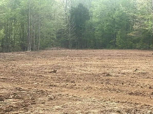 0 Birdsong Rd Lot 7, Holladay, TN 38341