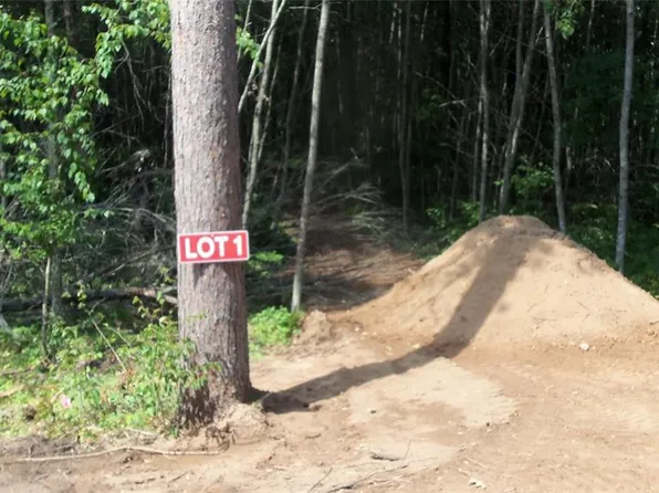 Lot 1 Birch Tree Trail, Spooner, WI 54801