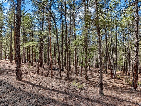 4th image of 249 Territory Drive LOT 4