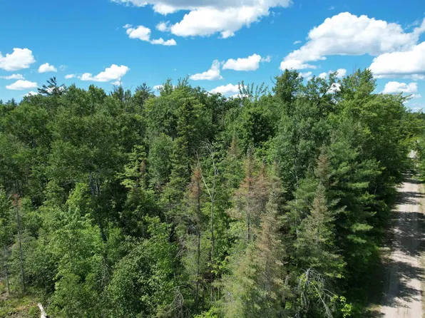 3936 S Deadstream Rd, Houghton Lake, MI 48629