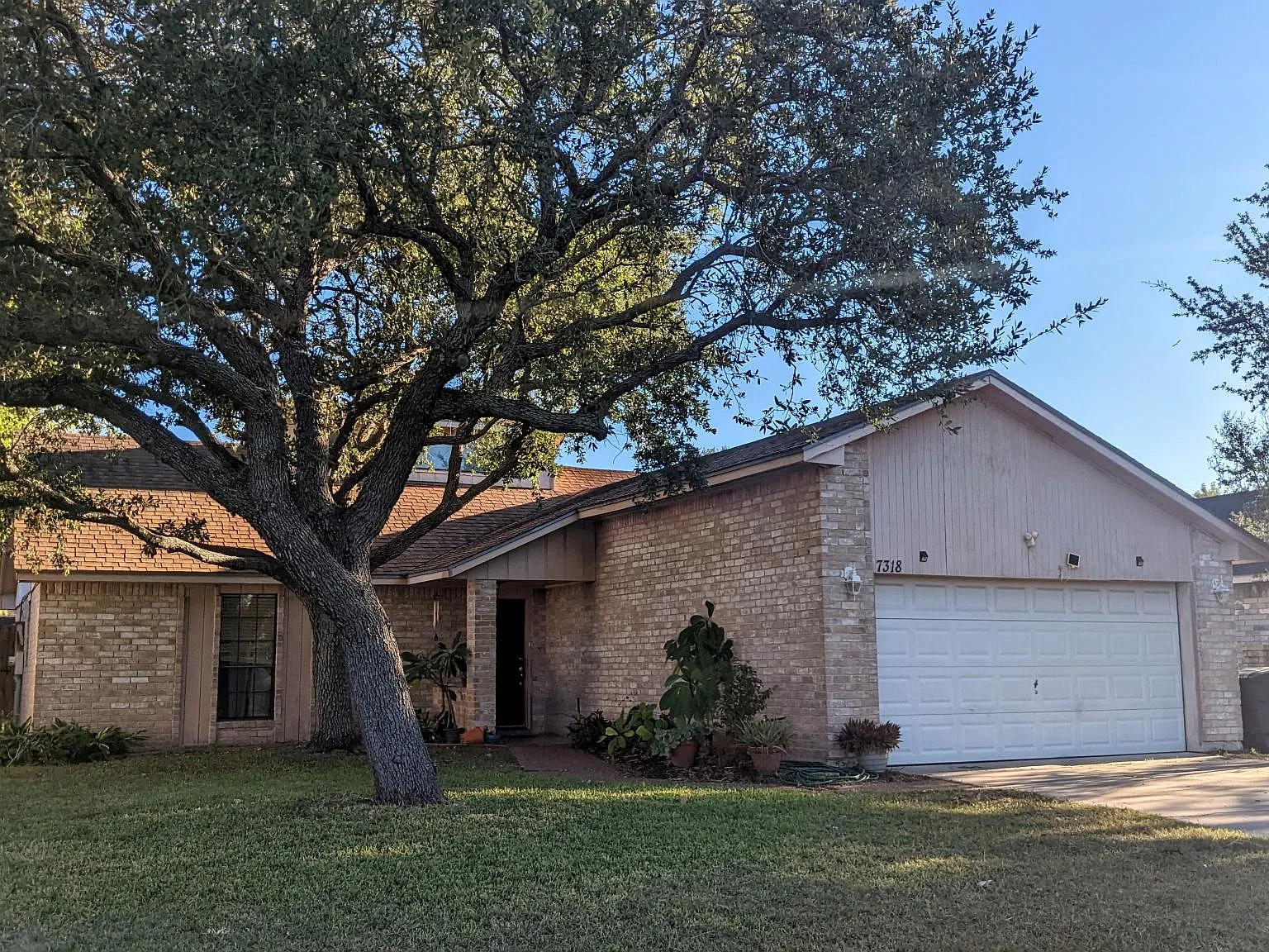 3 bed, 1226 sqft, $1,850 — Photo 1