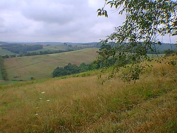 Side view from rear deck