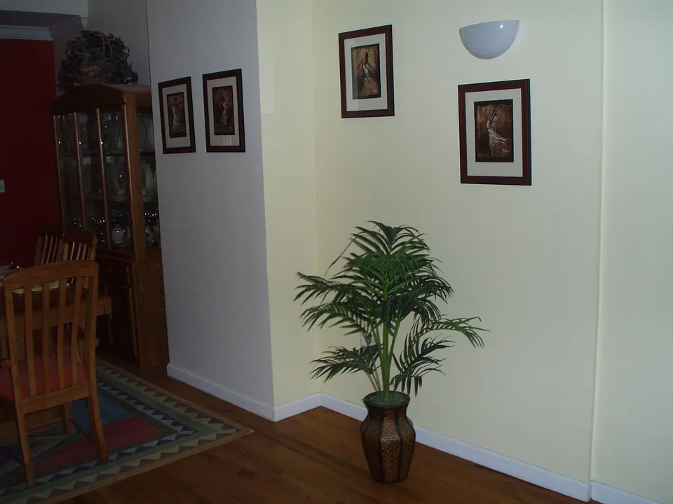 Open concept space.