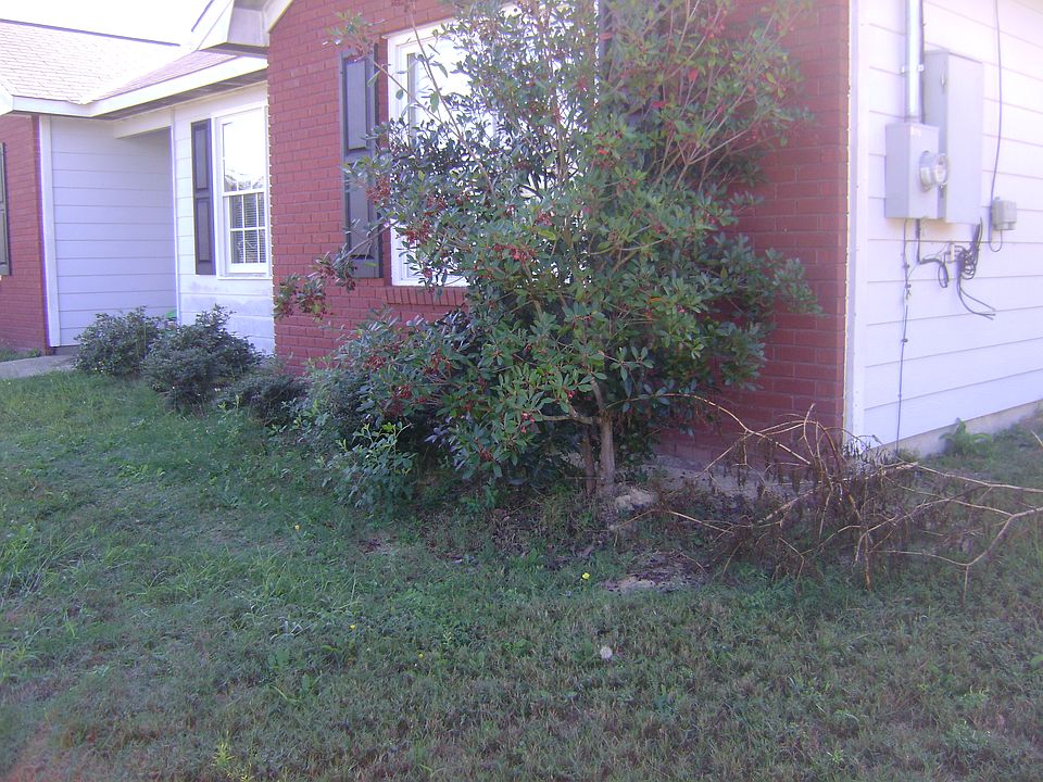 2nd image of 89 Lee Road 2107