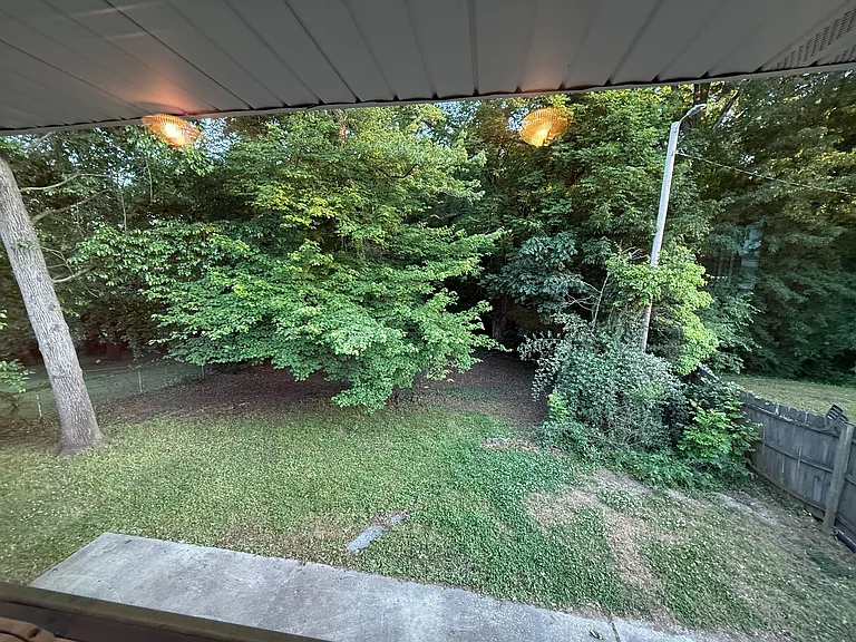 View of backyard out of kitchen window
