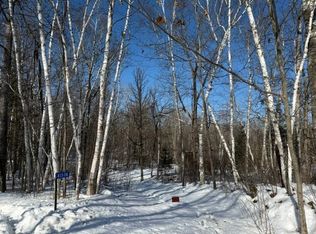 41174 Yellow Birch Ln, Emily, MN 56447