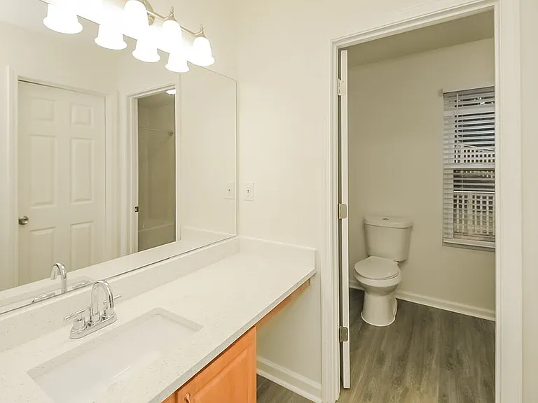 11138 Silver Aspen Ct — Photo 12