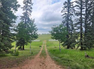 193 Joshua Rd, Divide, CO 80814