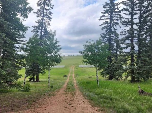 193 Joshua Rd, Divide, CO 80814