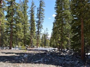 585 Mountain View Dr, Fairplay, CO 80440