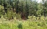 2nd image of Highway 64