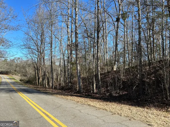 0 Raymond Anderson Rd, Elberton, GA 30635