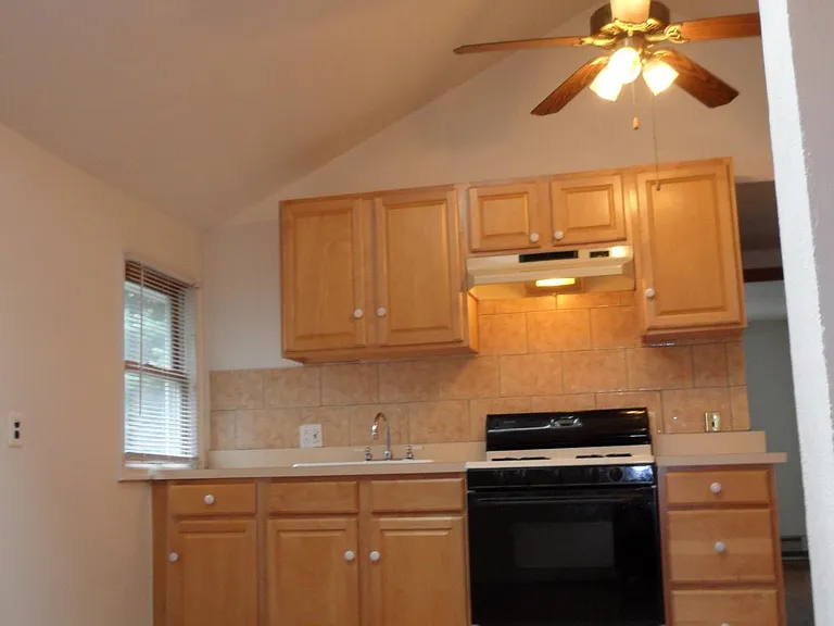 Vaulted Ceilings of the Apartment