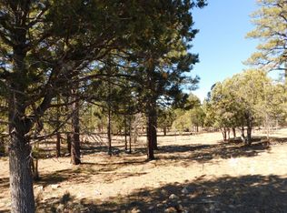 2166 Galo Dr, Happy Jack, AZ 86024