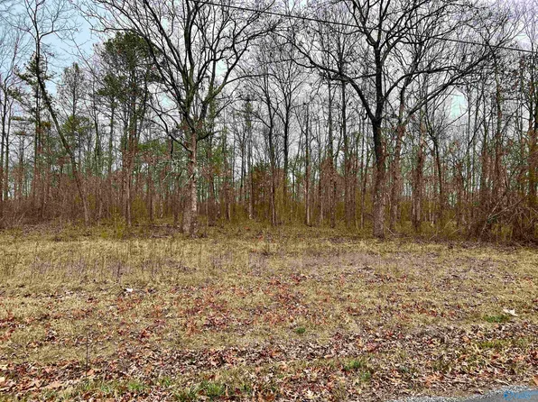 Horizon St, Sylvania, AL 35988
