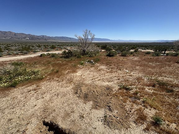 5th image of 3101 Kings Ranch Rd