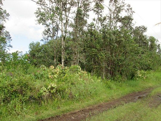 1st image of Road 9 Koloa Maoli Lot 5586