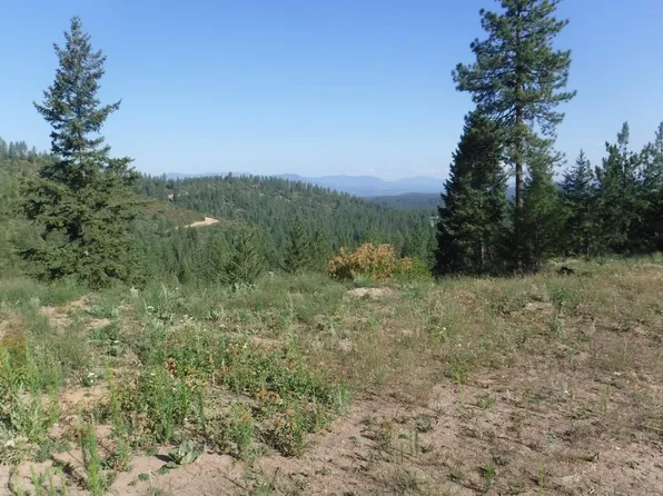 5 Moose Ridge Way, Loon Lake, WA 99148