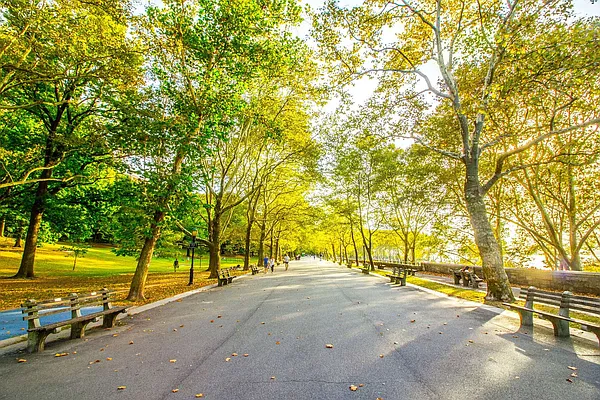 Sold by Keller Williams NYC | media 23
