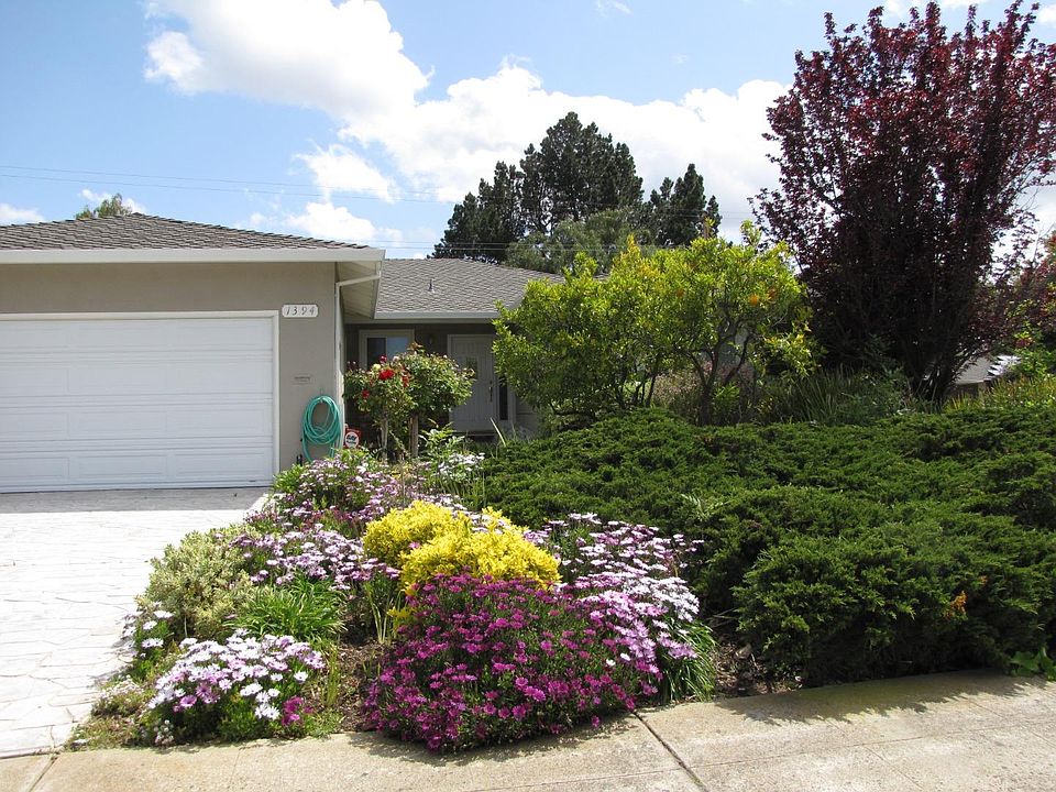 1st image of 1394 Bobwhite Ave