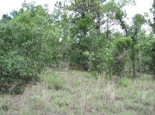 6410 N Zircon Poin, Dunnellon, FL 34433