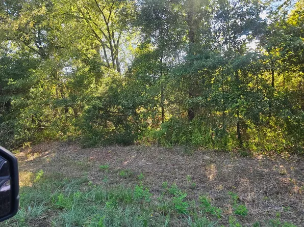 N Fm 49, Gilmer, TX 75644