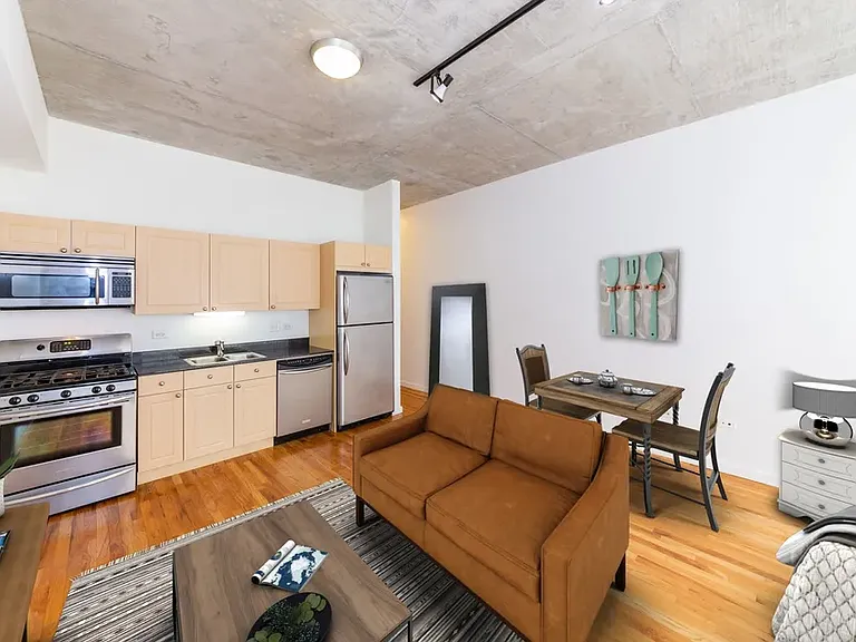 1620 S Michigan Ave #413 — Photo 6